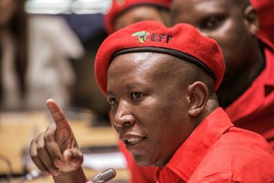 ‘Mini-Madiba’ Maimane wouldn’t survive 27 days in prison: Malema