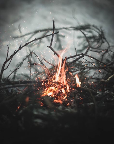Control burn:  North of Denneoord
