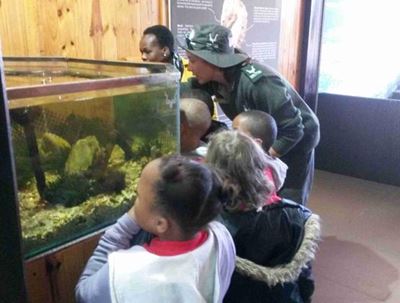 Little ones stepping out to learn about the environment