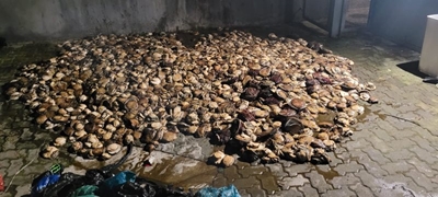 Over R700 000 worth of abalone confiscated in Plett