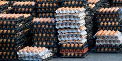 Egg Board says imports unnecessary