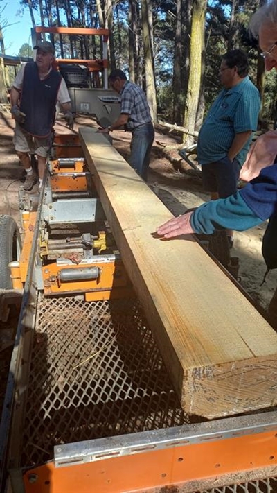 Woodworkers enjoy sawmill demo