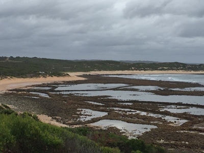 Fish traps declared heritage site