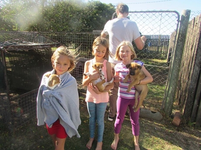 Picnic fun at SPCA
