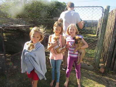 Picnic fun at SPCA