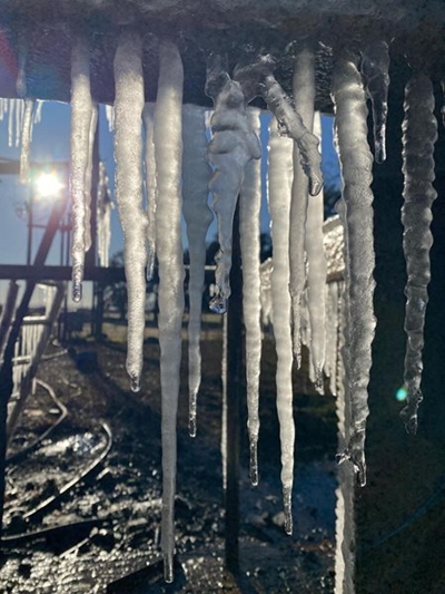 Karoo ice fingers impress Canadians