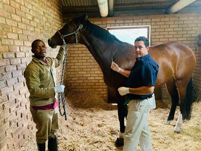 West Nile and herpes among horses in Garden Route