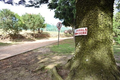 Park probe still not completed after 6 months