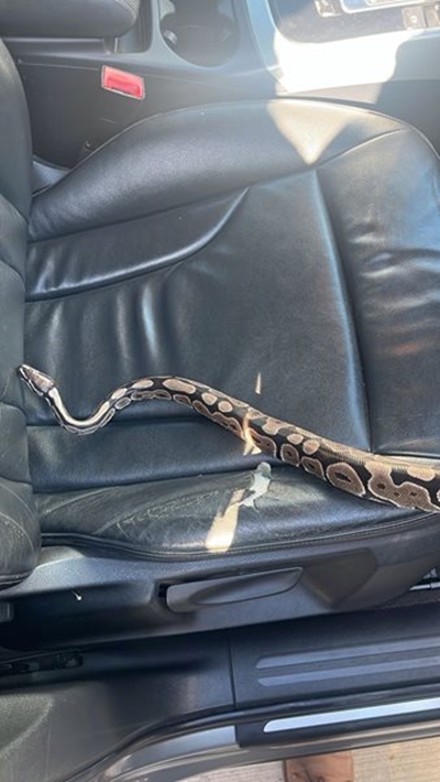 Draco’s daddy came to fetch him