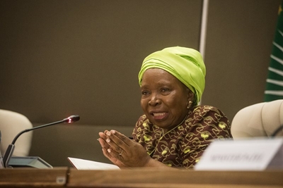 Sakeliga starts contempt of court proceedings against Dlamini-Zuma over Covid lockdown records