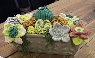 ReWOLusie-dames beeld Klein-Karoo se flora uit