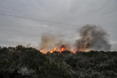 Sigaretstompie dalk oorsaak van brand