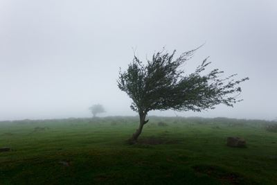 Severe weather warning 