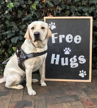 Free hugs from furry friends at Oyster Fest