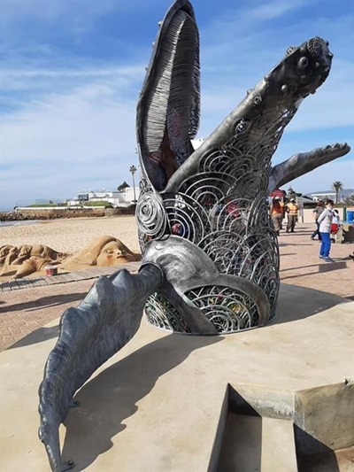 Name the whale and win