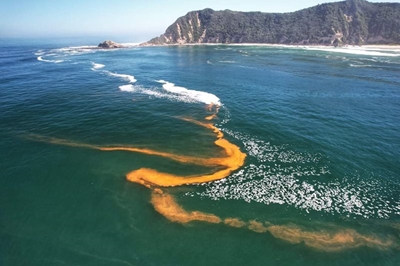 Red tide in the Garden Route