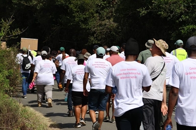 Garden Route National Park leads 2025 Cancer Awareness Walk in Wilderness