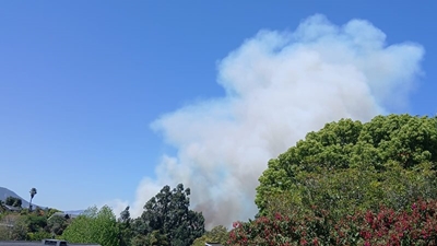 Update on Control Burn in Denneoord Area
