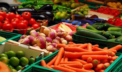 The right to food on agenda