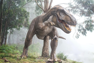 NCC advises caution against Dinosaur Expo World
