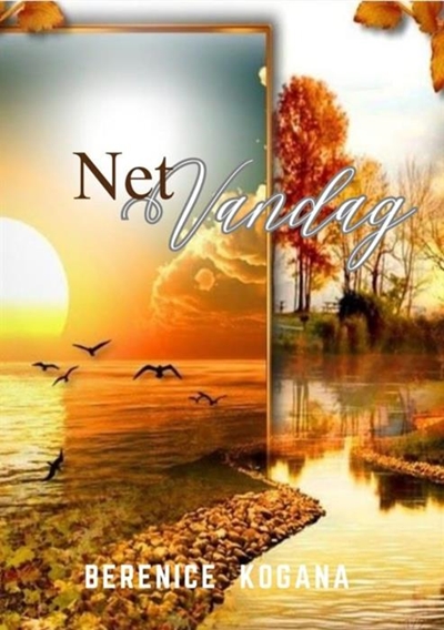 'Net Vandag' gee jou rigting