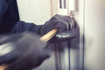 Dogs killed during Crags burglary