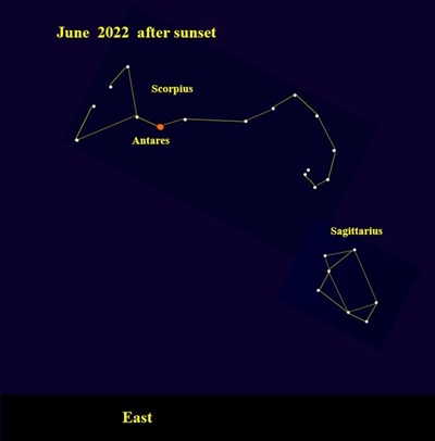 What's Up: June 2022
