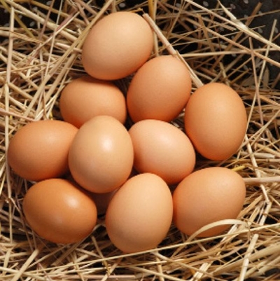 New data in eternal debate over eggs, heart health