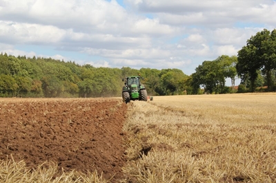 Young South Africans want to farm. But the system isn’t ready for them