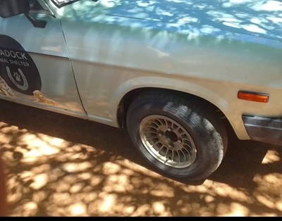 Danie kyk na diere se Bakkie