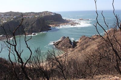 Rivers are the key to conservation