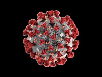 Four National Health employees test positive for COVID-19