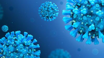 This week's vaccination schedule