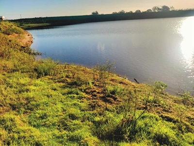 Young boy drowns in farm dam