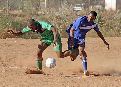 Portugal Birds fly high against AmaMpondo