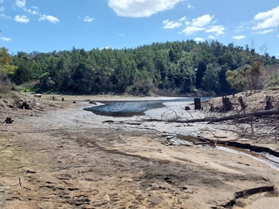 Many Georgians appealing environmental approval for dam development