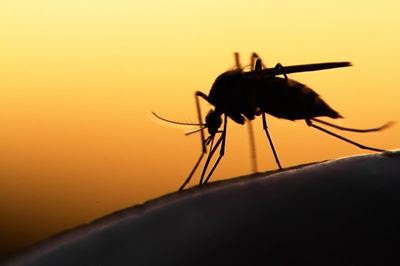 1,800 dead as malaria 'epidemic' rages in Burundi: UN