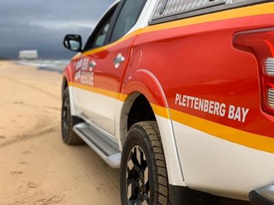 Lifeguards, medical student rescue man