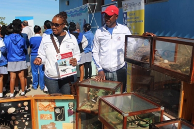 International Museum Day celebrated 
