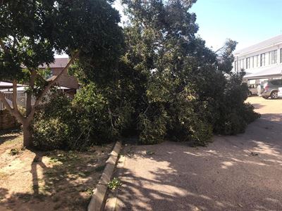 Winde rig weer groot skade aan