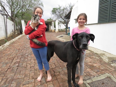 Two family pets die, possibly poisoned