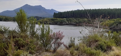 Garden Route Dam level at 83.90%