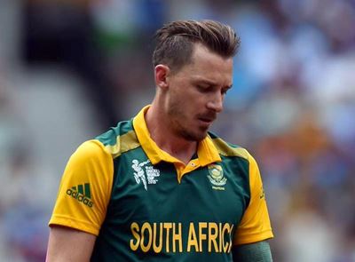 Steyn plays down wickets record hopes