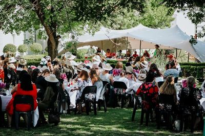 Tales from a mad hatter's tea party 