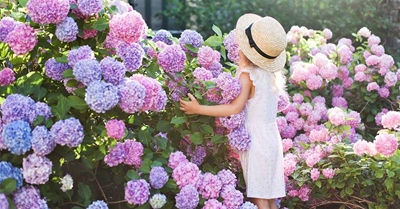 Gardening in December