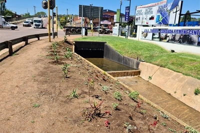Blind man robbed after falling into storm water channel