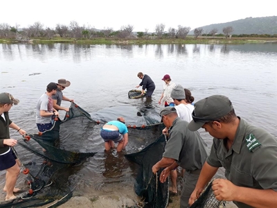 Fish, people and rivers