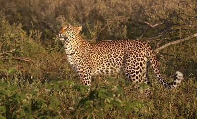 6 nature stays in SA that come with their own hiking trail