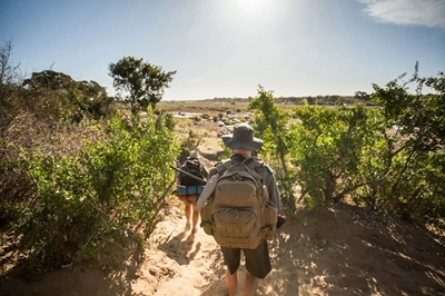 Why a walking safari in the Kruger is a must