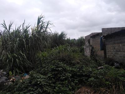 Teen girls arrested for faking kidnapping, demanding R8k ransom from family